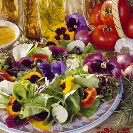 edible-wildflower-herb-mix-seeds Edible Wildflower & Herb Mix Seeds