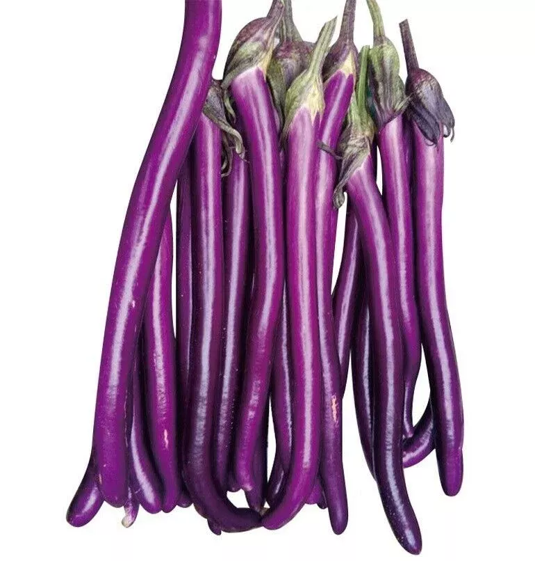 eggplant-chinese-string Eggplant: Chinese String