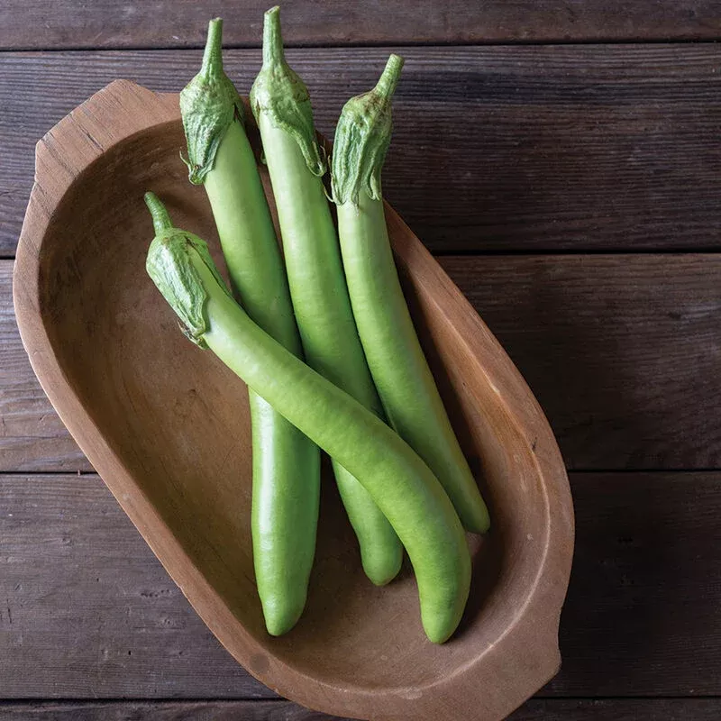 eggplant-summer-emerald Eggplant: Summer Emerald