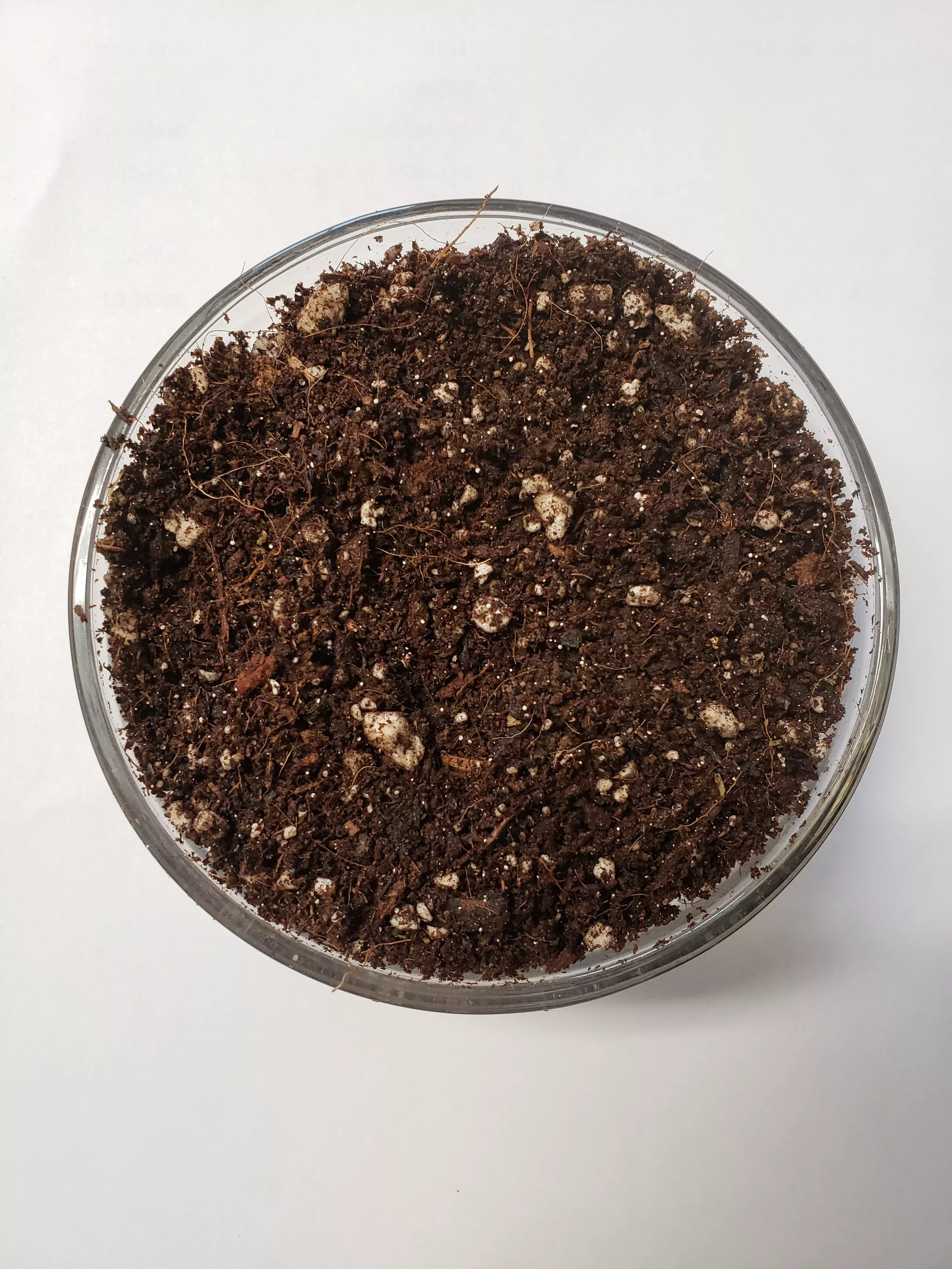 elite-seed-clone-soil Elite Seed and Clone Soil