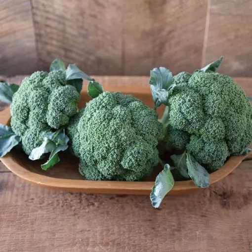 Emerald Crown Broccoli Seeds