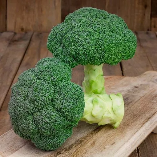 emerald-jewel-broccoli-seeds Emerald Jewel Broccoli Seeds