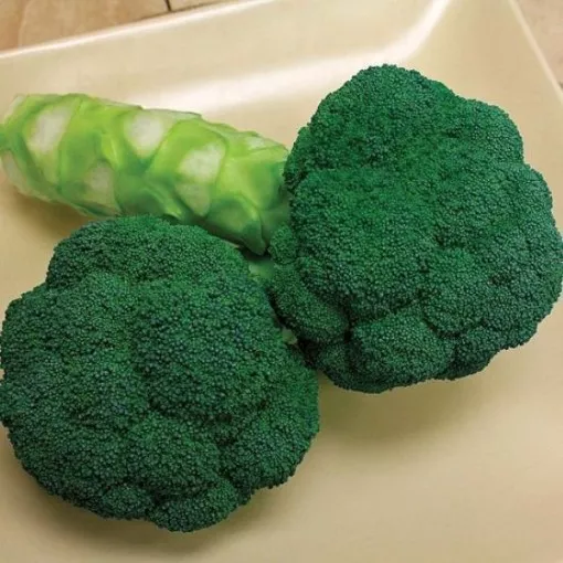 emerald-star-broccoli-seeds Emerald Star Broccoli Seeds