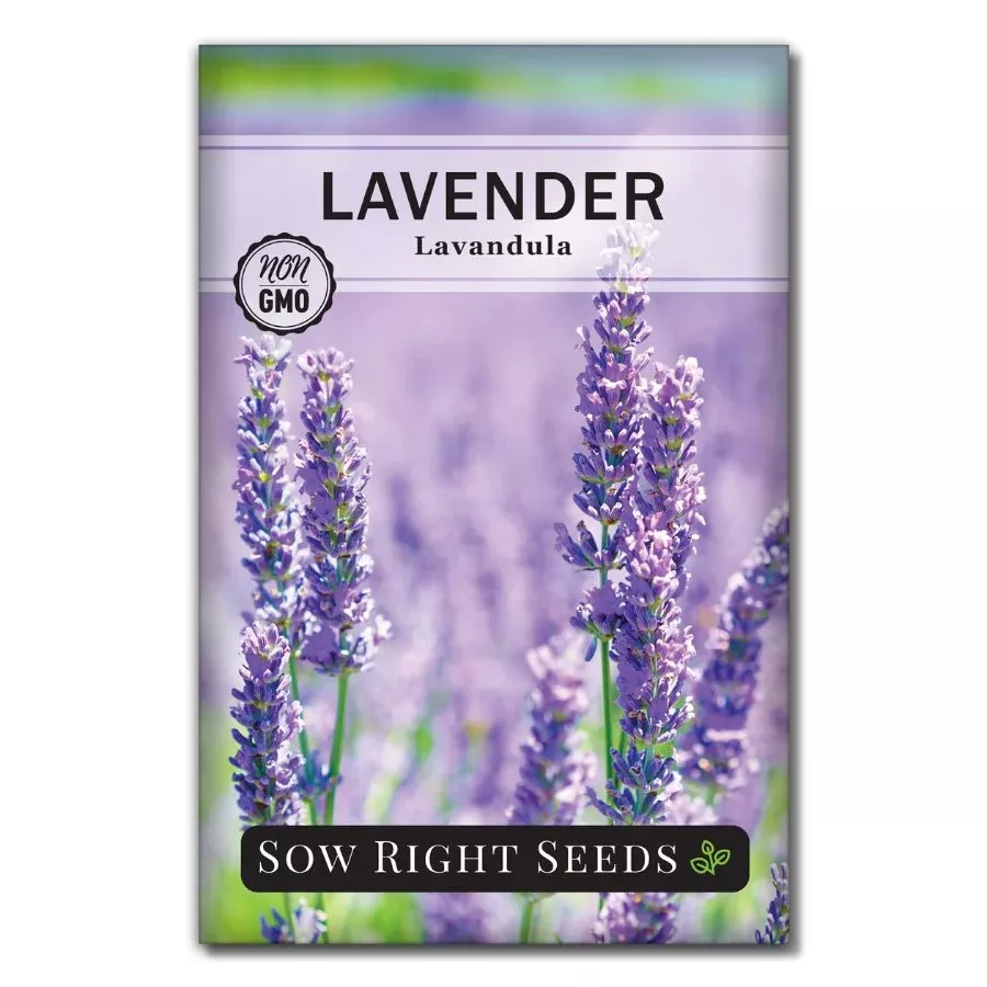 english-lavender English Lavender