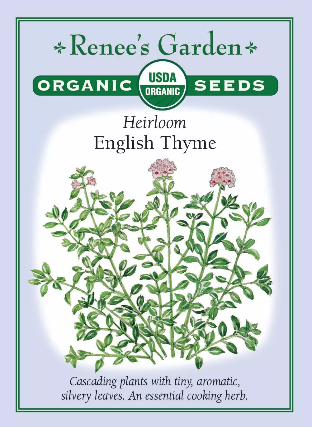 english-thyme-organic English Thyme Organic