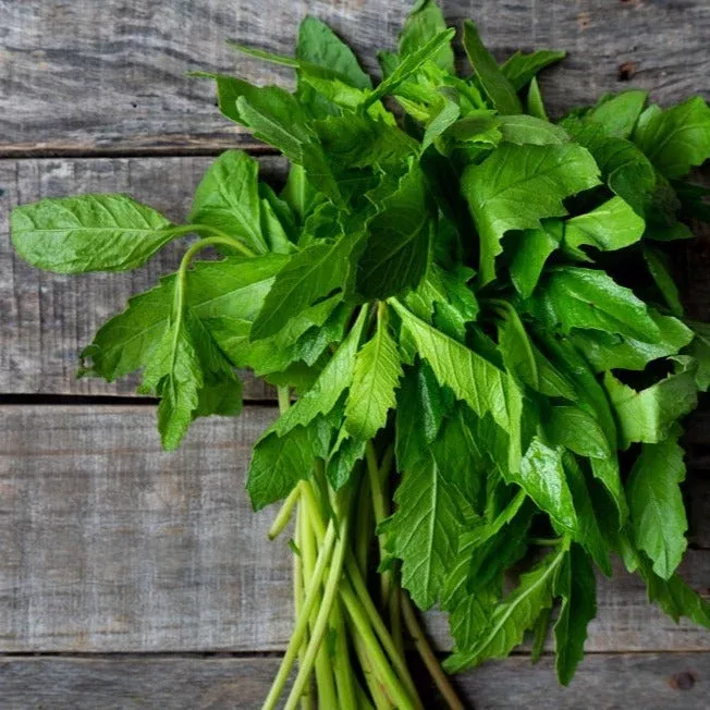 epazote-mexican-herb-seeds Epazote (Mexican Herb) seeds