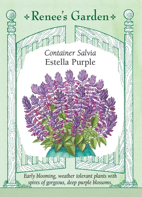 estella-purple Estella Purple