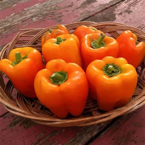Etuida Peppers