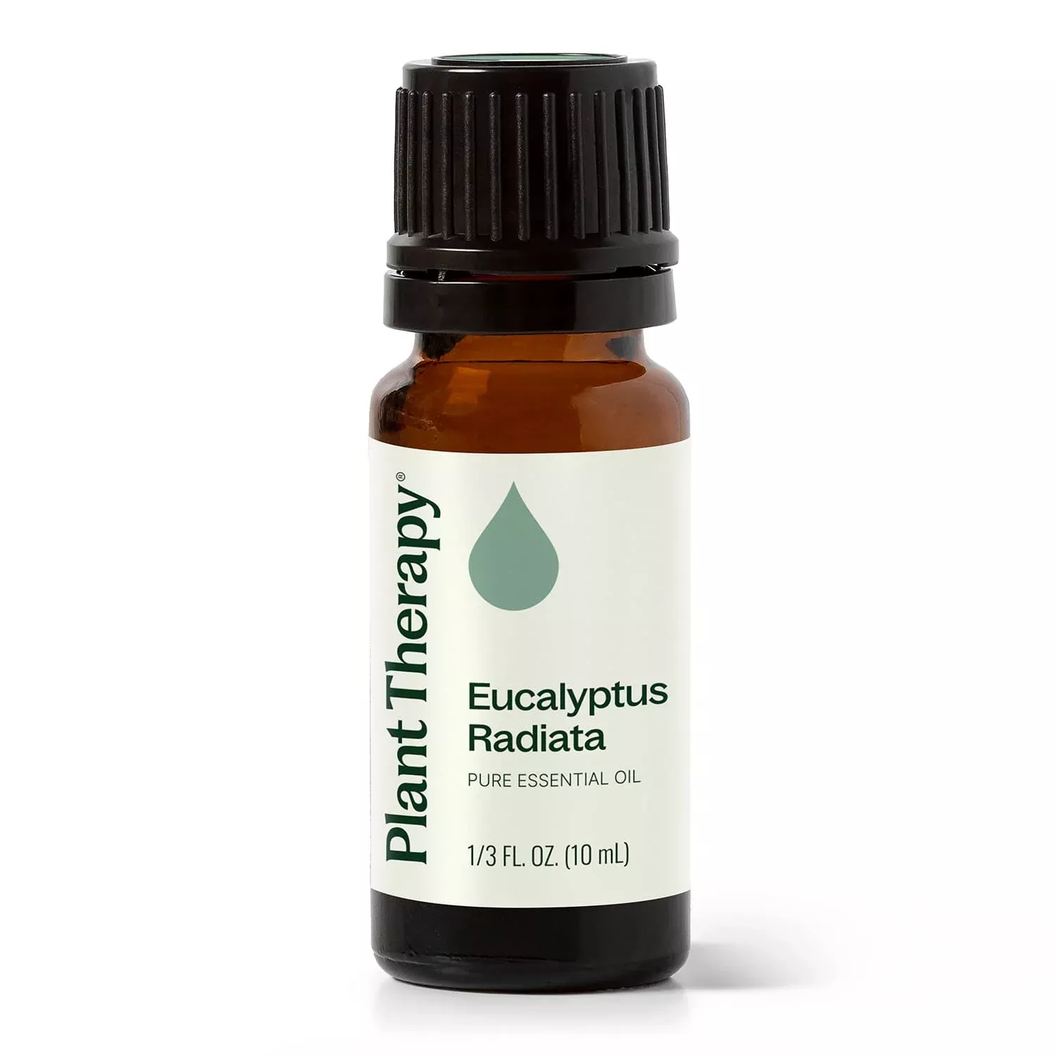 Eucalyptus Radiata Essential Oil