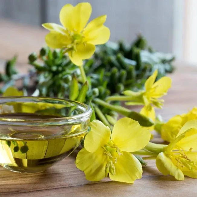evening-primrose-king-s-cure-all-flower-seeds Evening Primrose, King’s Cure-All Flower seeds