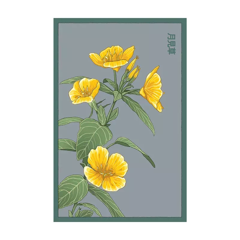 evening-primrose-seeds Evening Primrose Seeds