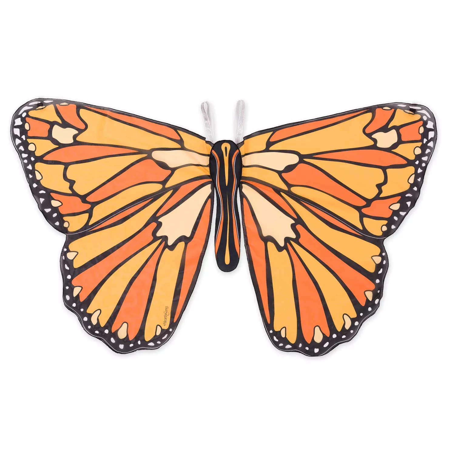 evergreen-colourful-butterfly-wings Evergreen- Colourful Butterfly Wings