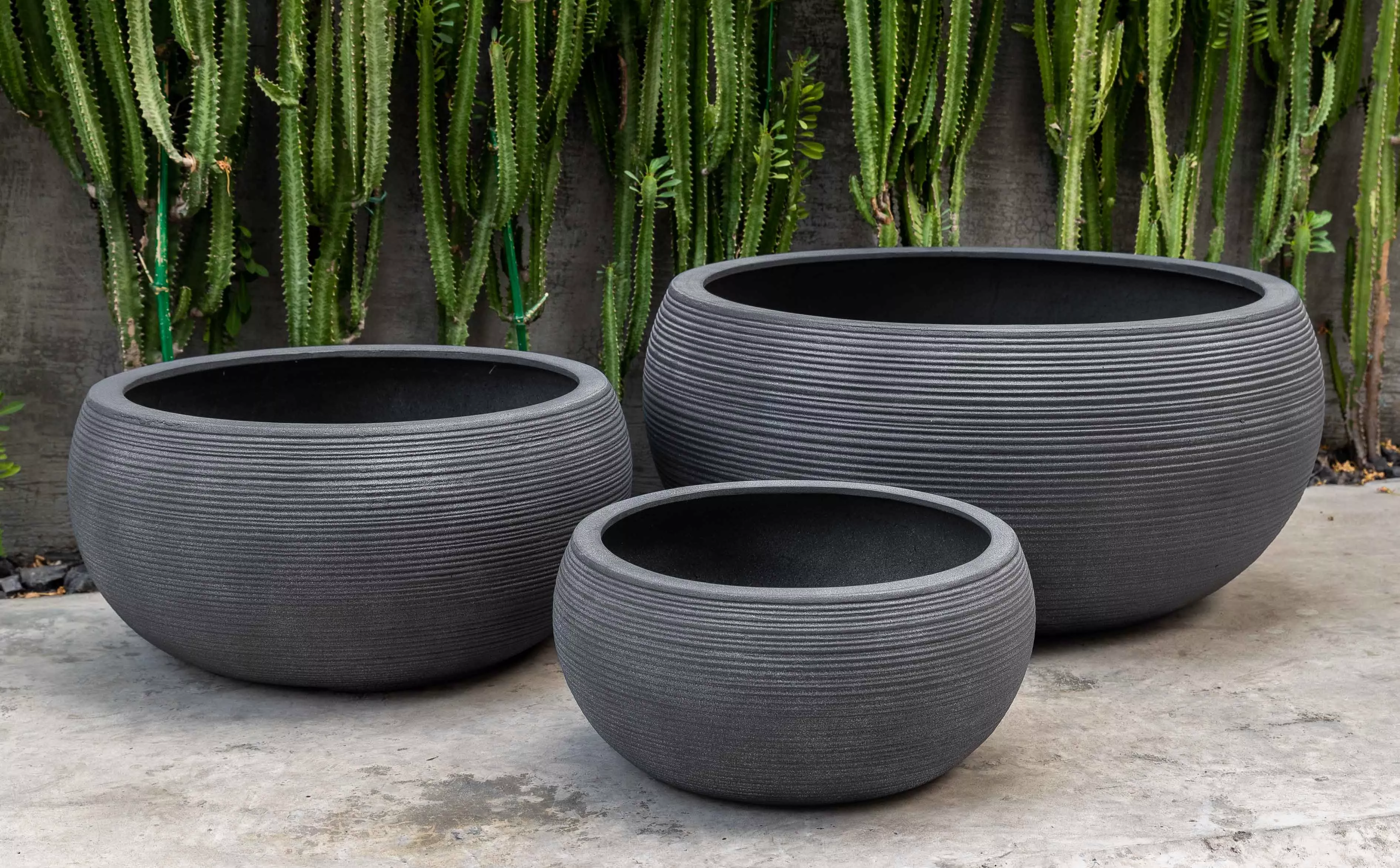 Exton Bowl by Campania International