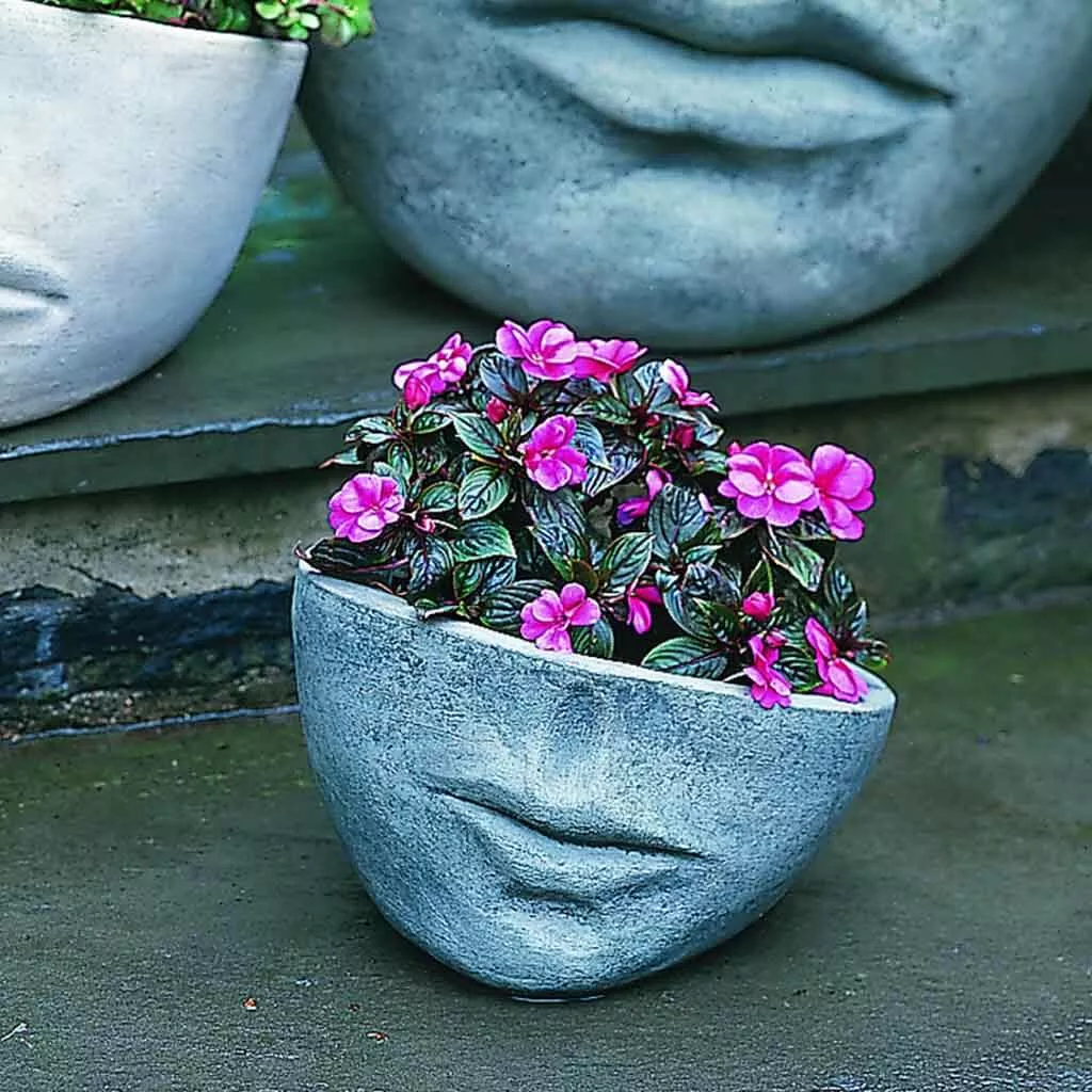 Faccia Planter - Small By Campania International