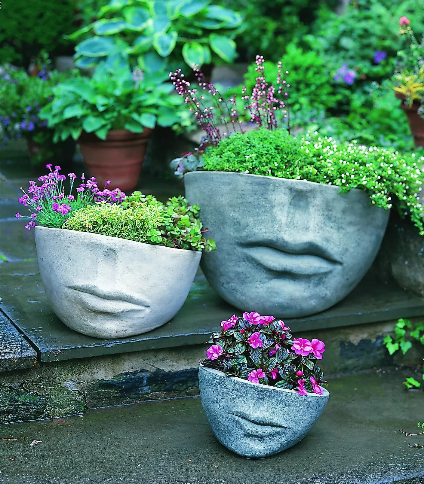 Faccia Small Planter by Campania International