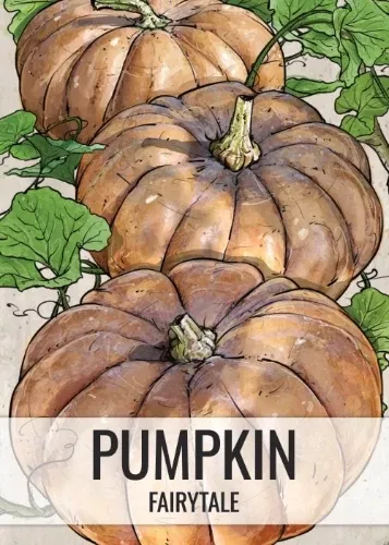 fairytale-pumpkin-seeds-planting-cucurbita-moschata Fairytale Pumpkin Seeds For Planting (Cucurbita moschata)