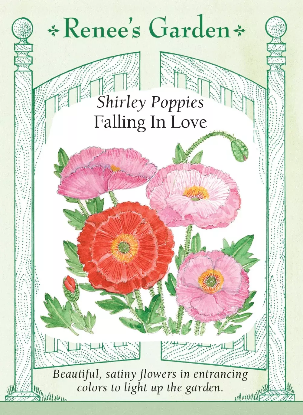 falling-in-love Falling In Love