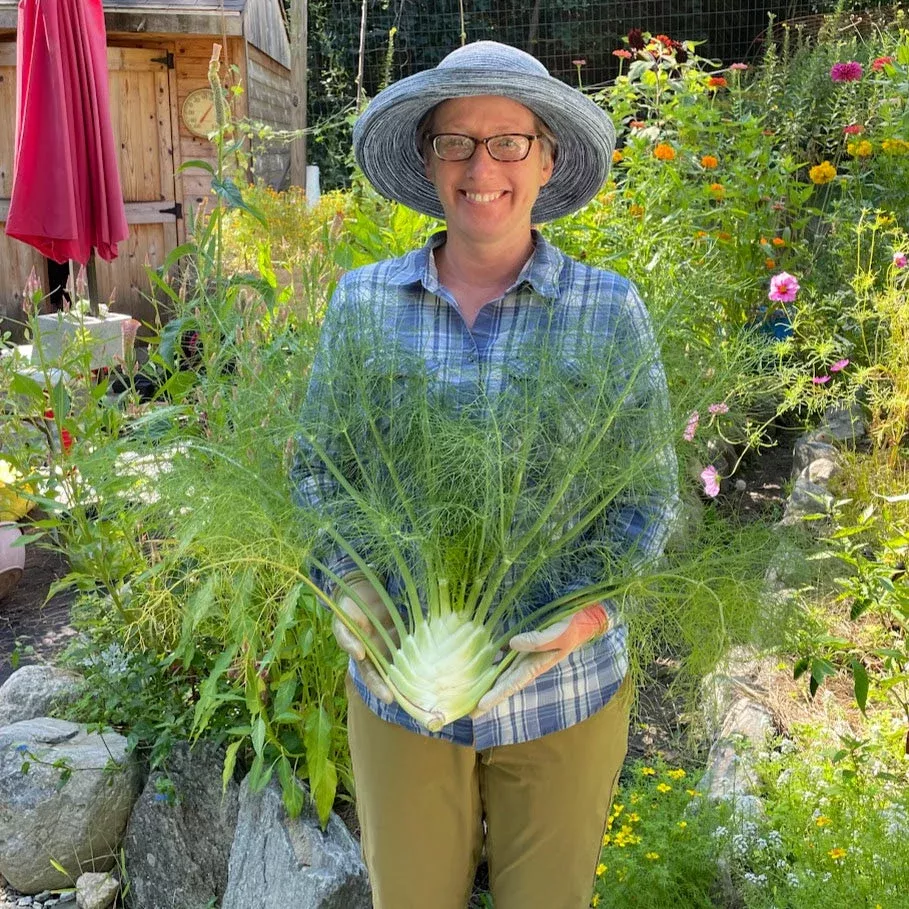 fennel-preludio Fennel: Preludio
