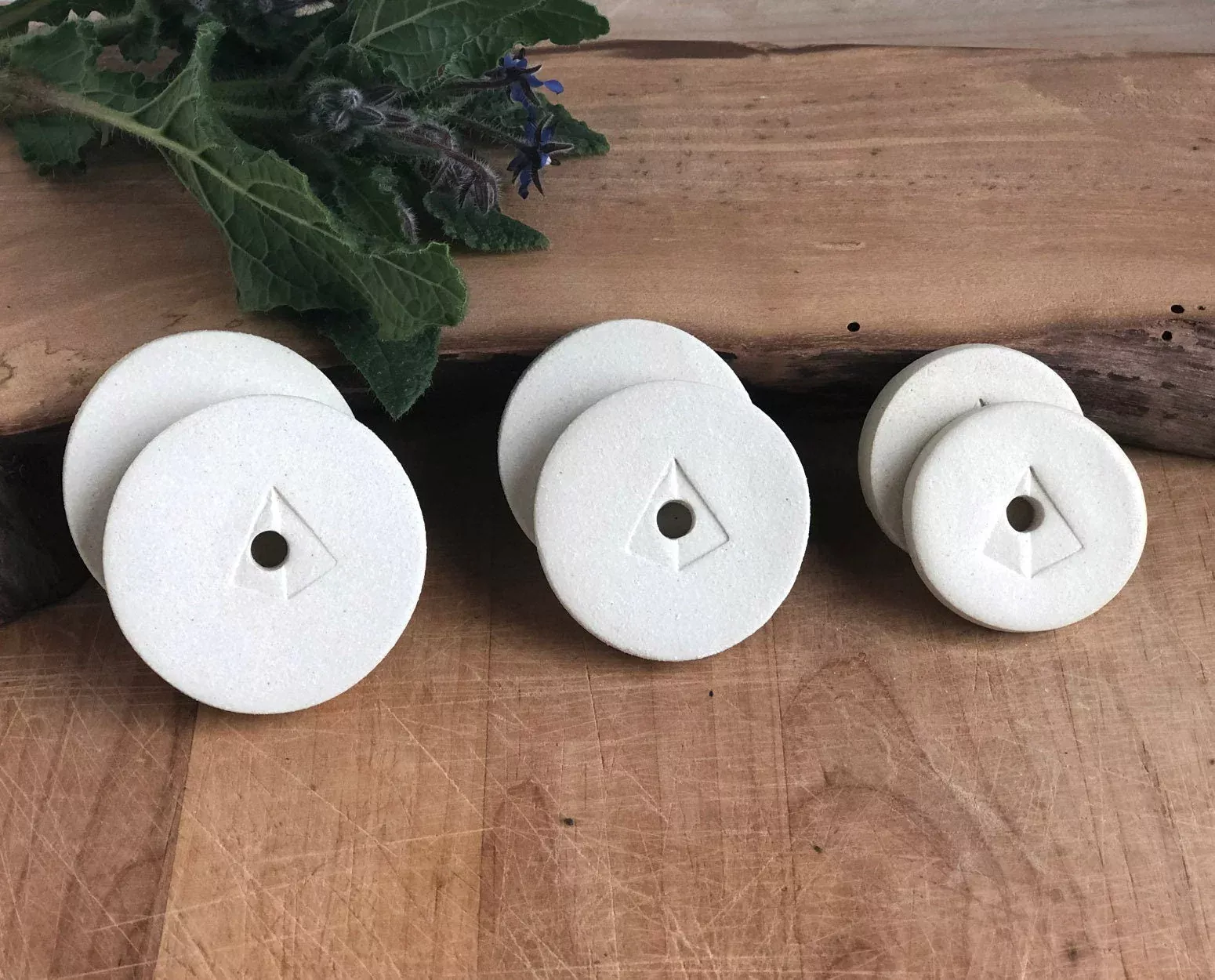 Fermentation Weights Set