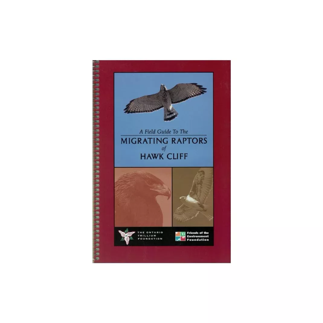 field-guide-to-migrating-raptors-hawk-cliff A Field Guide To The Migrating Raptors of Hawk Cliff