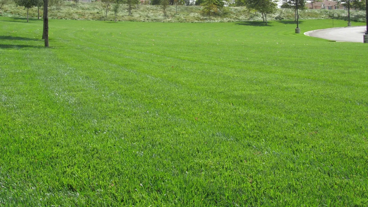 Fineturf Extreme™ / Spreading and Drought Tolerant Seed Mix Platinum Quality