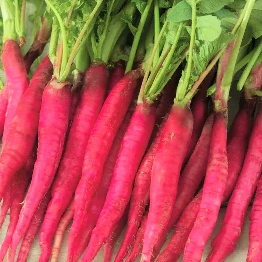 fire-candle-radish Fire Candle Radish