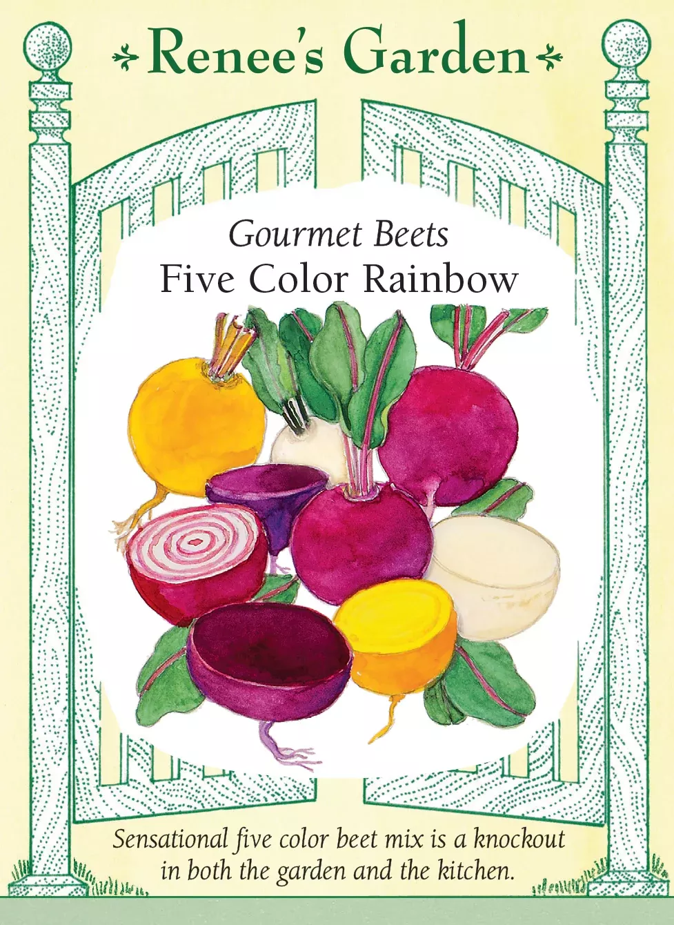 five-color-rainbow Five Color Rainbow