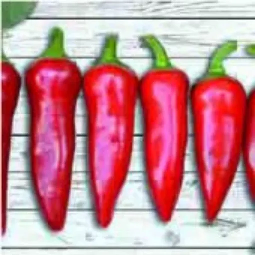 flaming-flare-pepper-seeds Flaming Flare Pepper Seeds