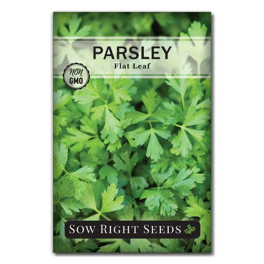 flat-leaf-parsley Flat Leaf Parsley