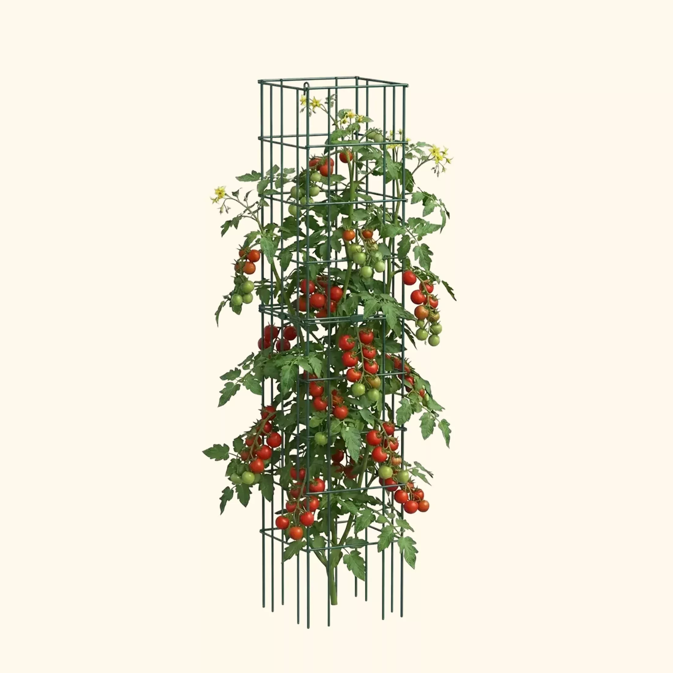 flexgrow-tomato-cage-16-5-square FlexGrow Tomato Cage - 16.5" Square