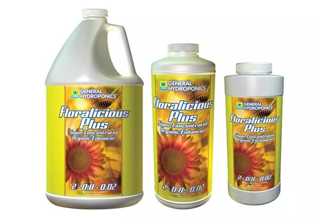 Floralicious Plus 8 oz