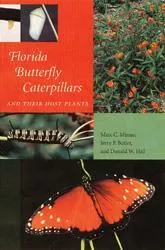 florida-butterfly-caterpillars-minno Florida Butterfly Caterpillars Minno
