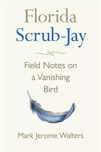 florida-scrub-jay-walters Florida Scrub-Jay (Walters)