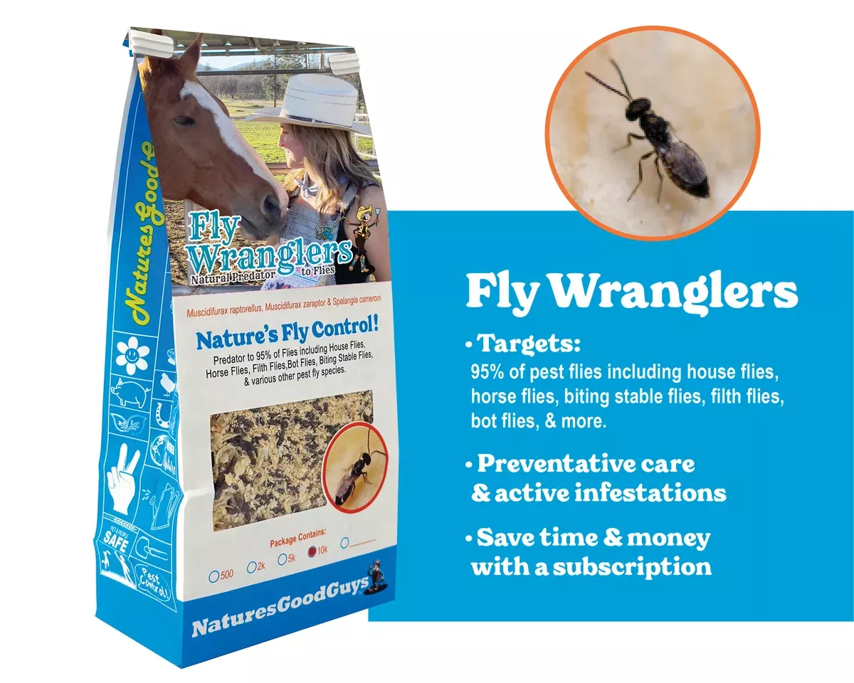 fly-wranglers-fly-control Fly Wranglers - Fly Control