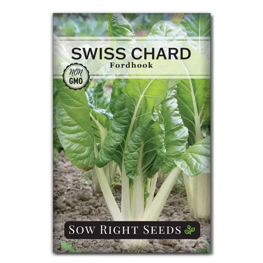 fordhook-swiss-chard Fordhook Swiss Chard
