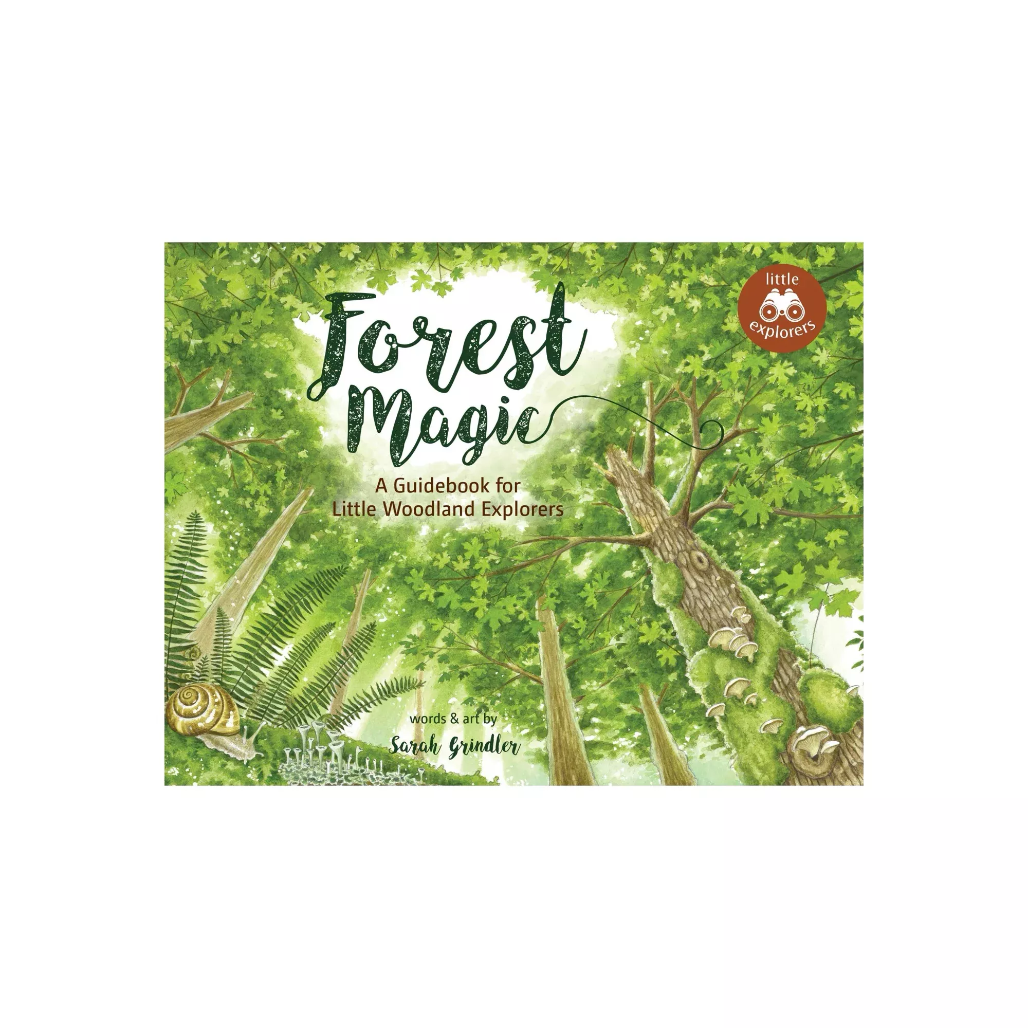 forest-magic Forest Magic