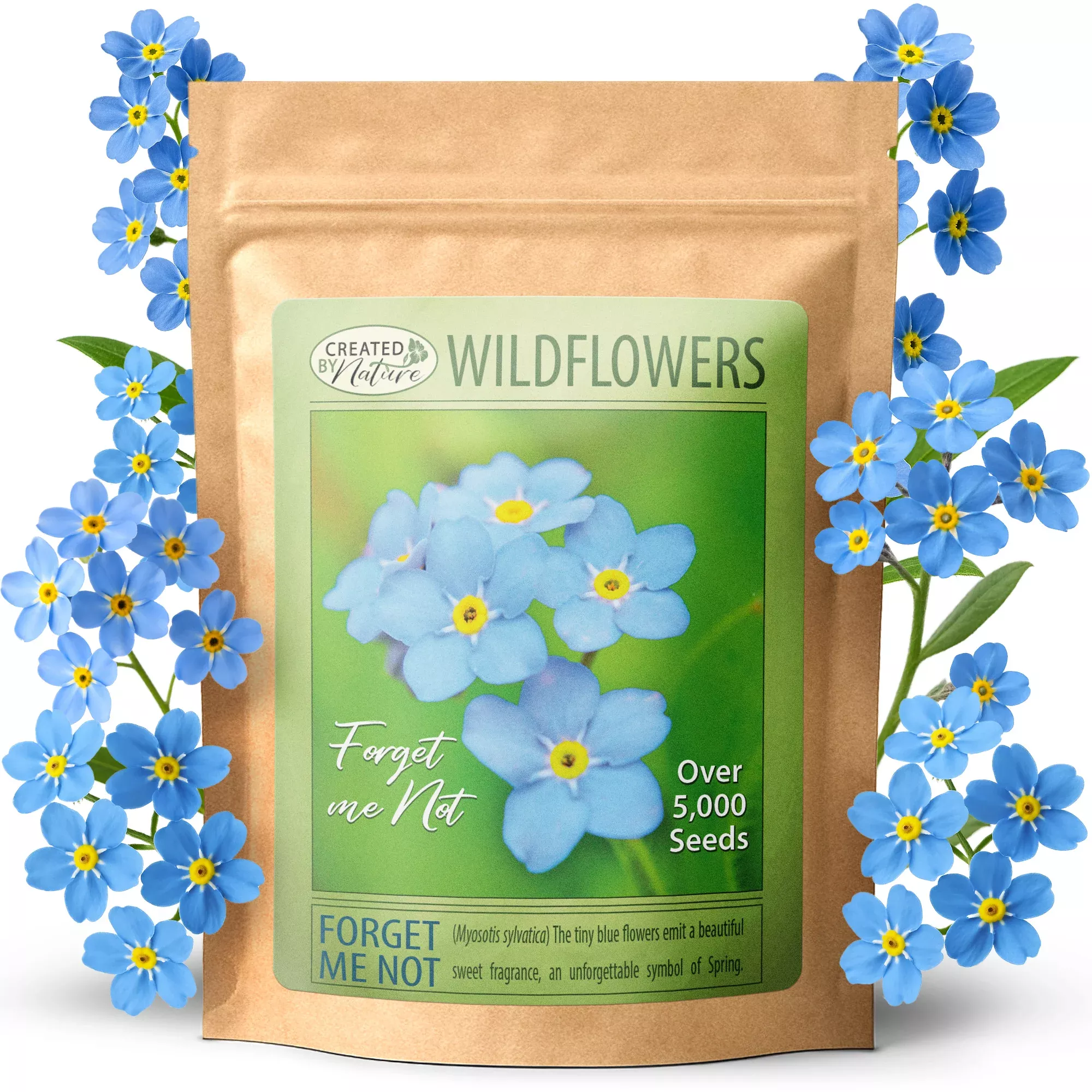 Forget Me Not Wildflower Seeds