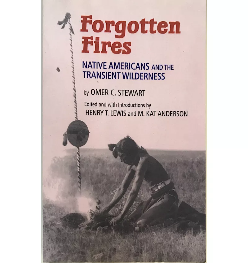 forgotten-fires Forgotten Fires