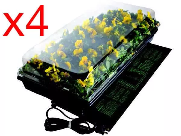 four-tray-germination-station-with-heat-mat Four-Tray Germination Station with Heat Mat