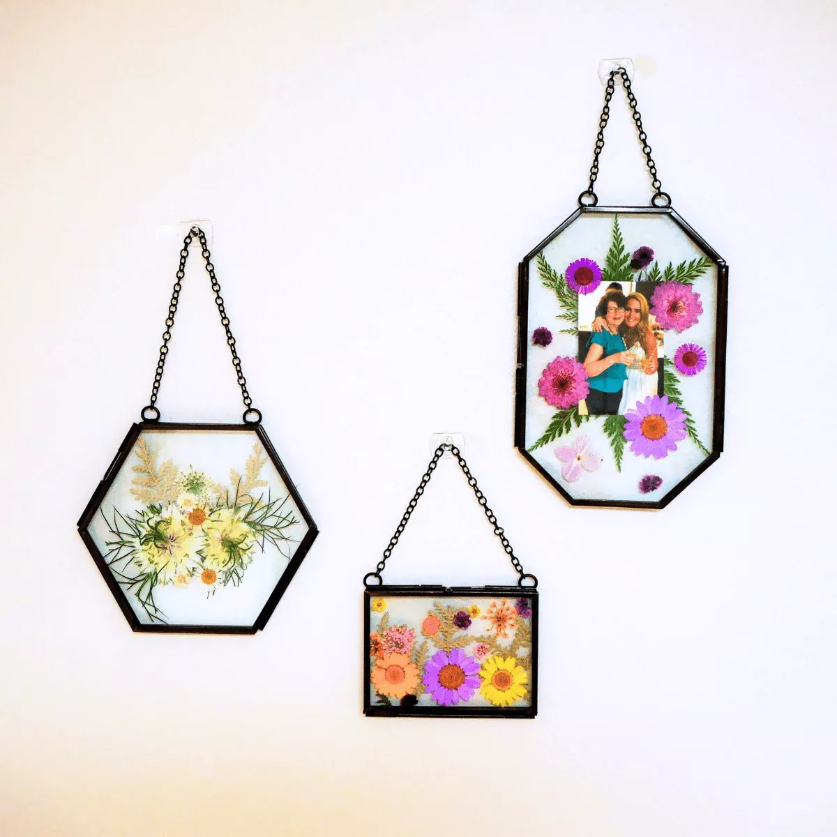 framed-pressed-flowers-kit Framed Pressed Flowers Kit
