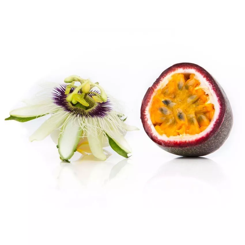 frederick-edible-passionvine Frederick Edible Passionvine