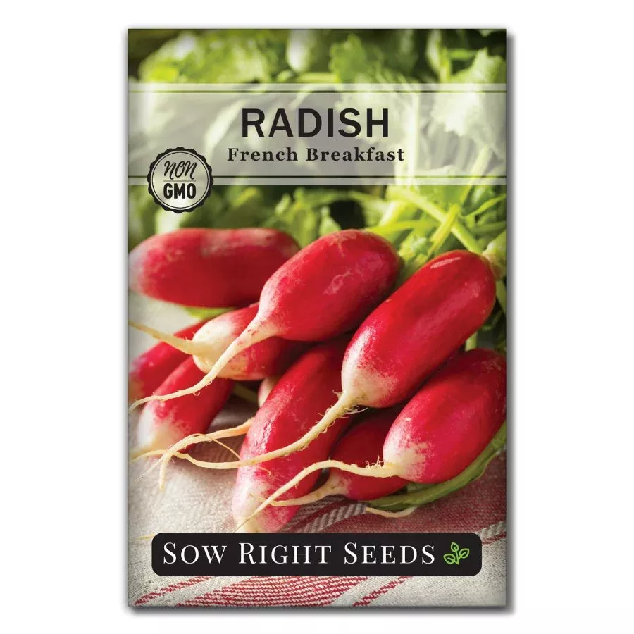 French Breakfast Radish