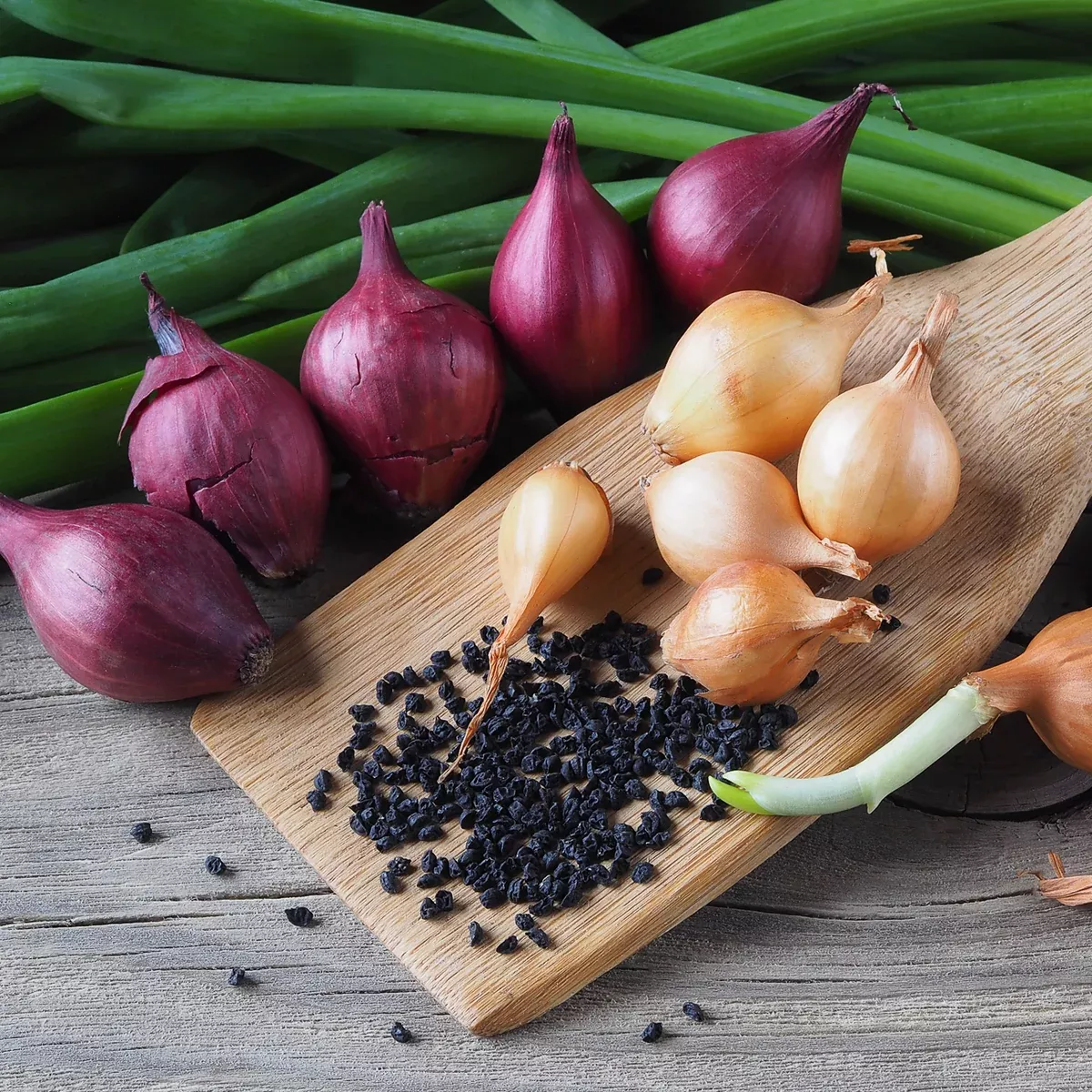 fresh-crop-shallot-medley Fresh Crop Shallot Medley