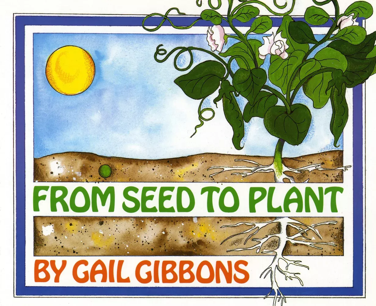 from-seed-to-plant From Seed to Plant