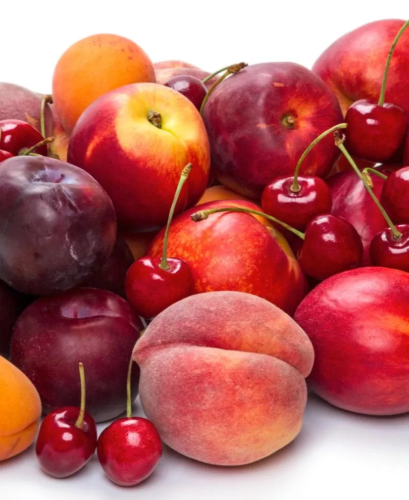 fruit-cocktail-3-varieties Fruit Cocktail (3 Varieties)