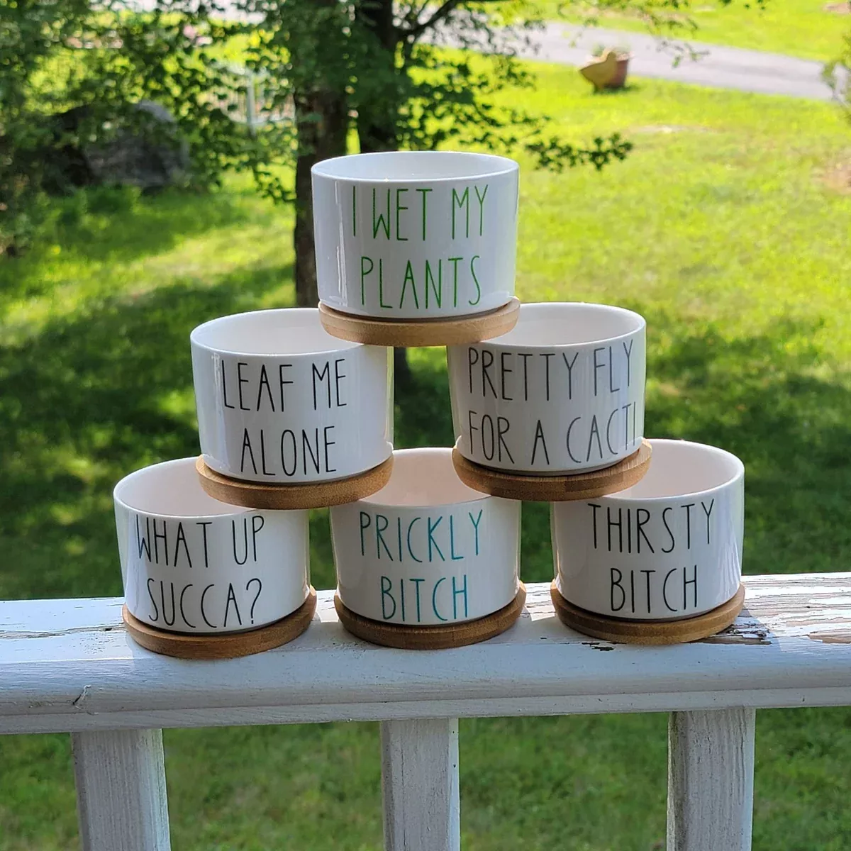 Funny Succulent Pots - White Ceramic Plant Pot: I Will Survive