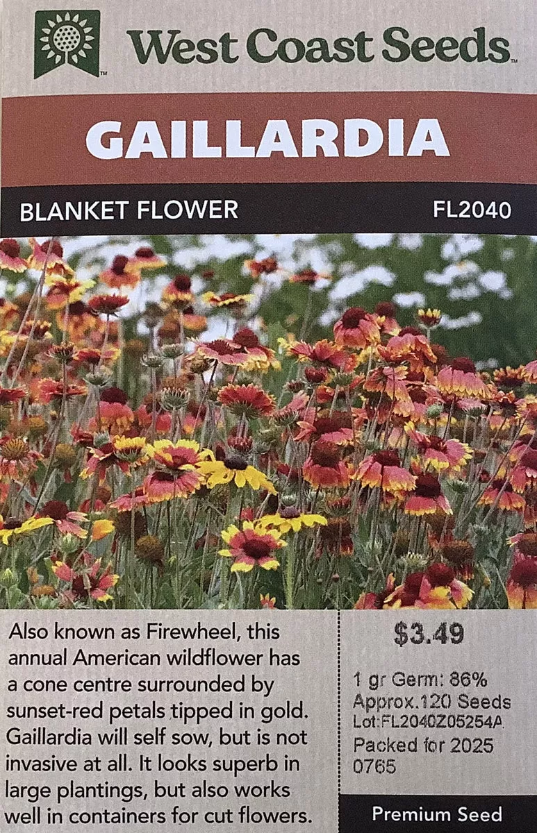 Gaillardia - Blanket Flower