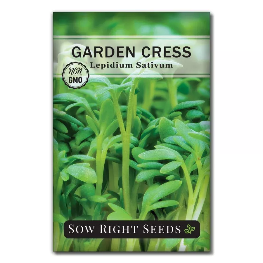 garden-cress Garden Cress
