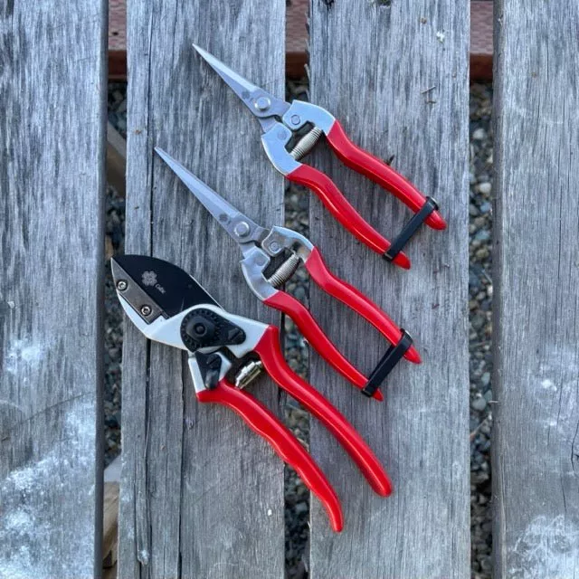 garden-pruner-bundle-gift-set-save-on-3 Garden Pruner Bundle Gift Set - Save on 3