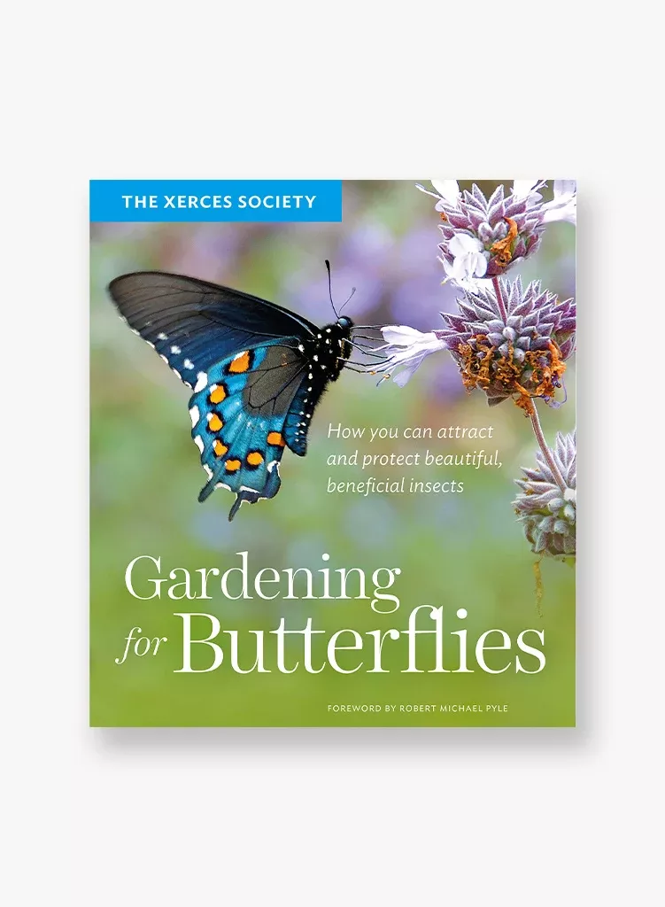 gardening-butterflies-how-you-can-attract-protect-beautiful-beneficial-insects Gardening for Butterflies: How You Can Attract and Protect Beautiful, Beneficial Insects